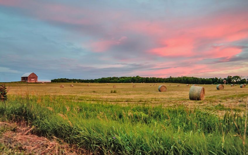 Remax Town & Country - Stonewall & Area's Favourite Realtors! - Remax ...