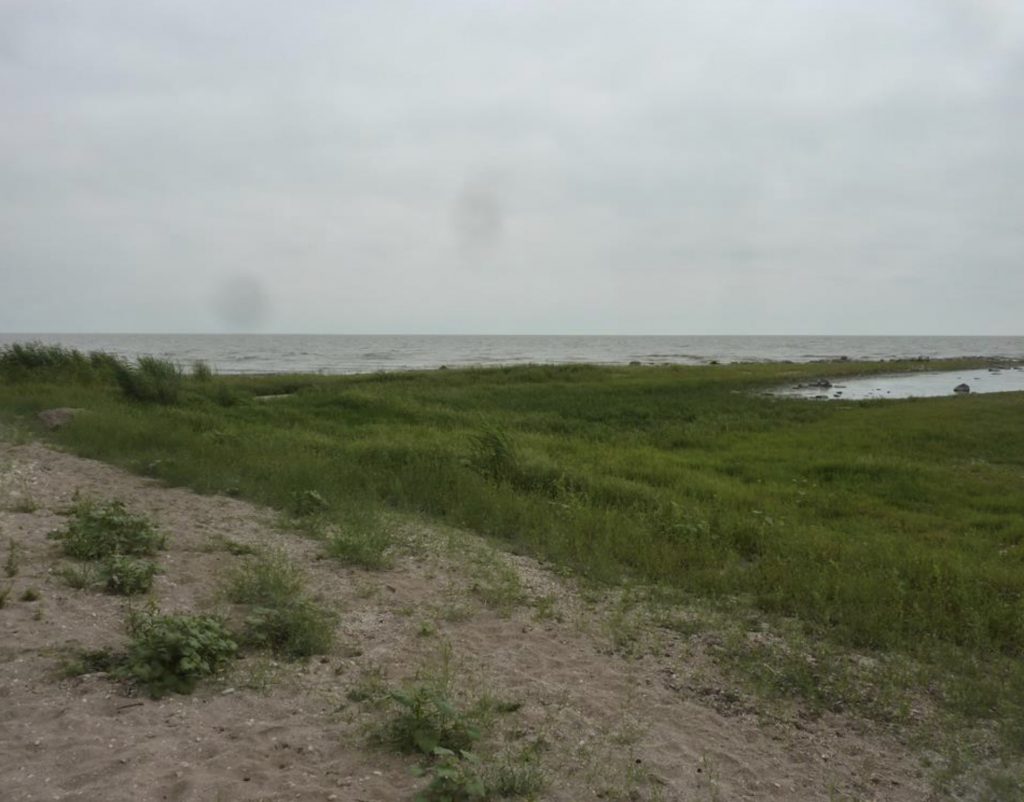 field screenshot
