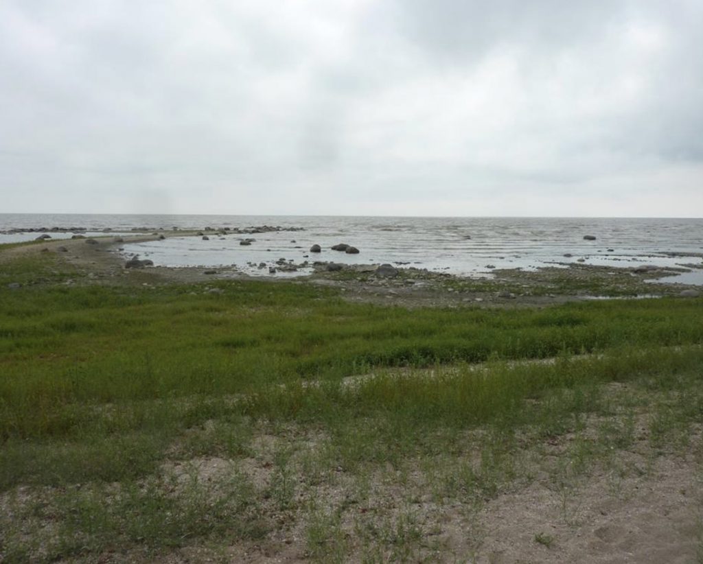 field Screenshot